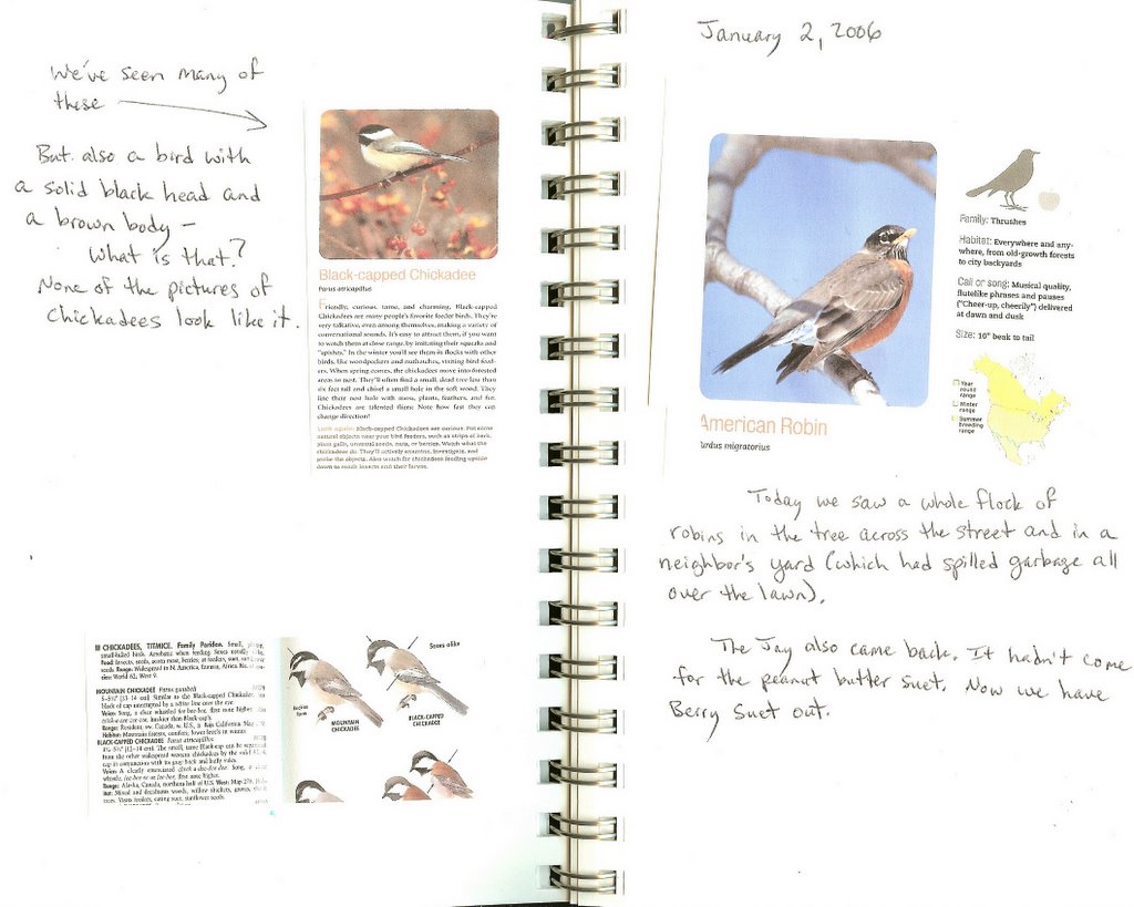 the-learning-umbrella-a-sample-page-out-of-carbon-s-bird-watching-journal